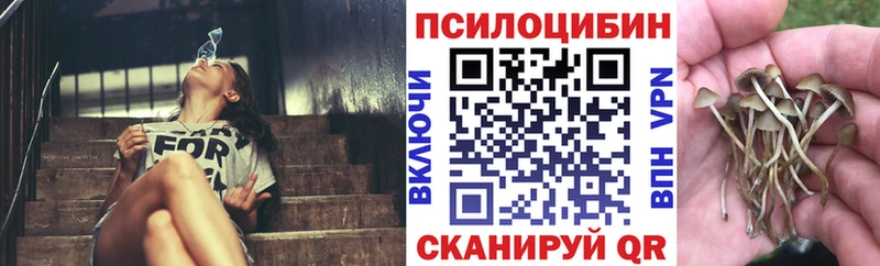 Псилоцибиновые грибы GOLDEN TEACHER  Купить где  Володарск 